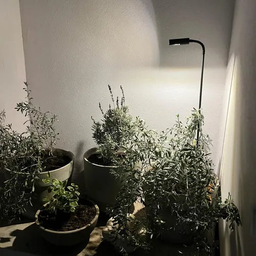 Jabalina Estaca Exterior - Incluye Luz Led