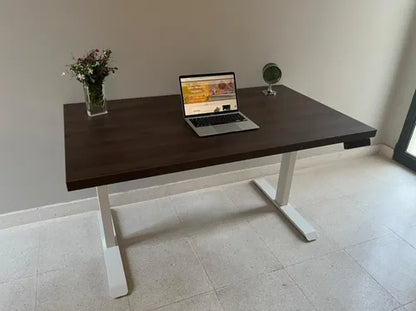 Escritorio Altura Regulable + Tapa Eurodecor 60x120 Höllsen