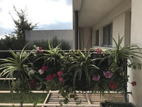 Jardinera Vertical Höllsen Para Balcon 150x50 cm Con Riego