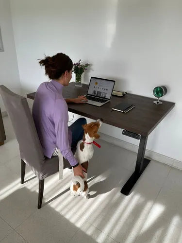 Escritorio Altura Regulable + Tapa Eurodecor 60x120 Höllsen