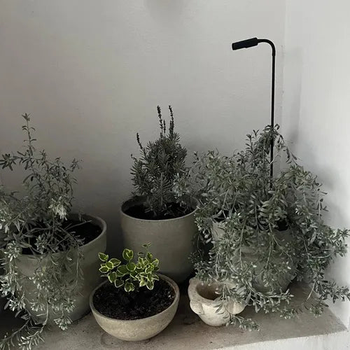 Jabalina Estaca Exterior - Incluye Luz Led
